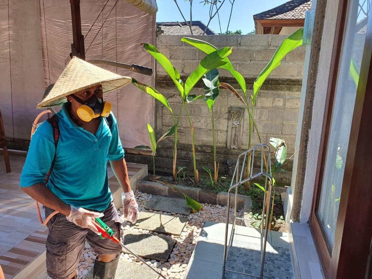 Villa Victoria Bali Canggu Kültér fotó